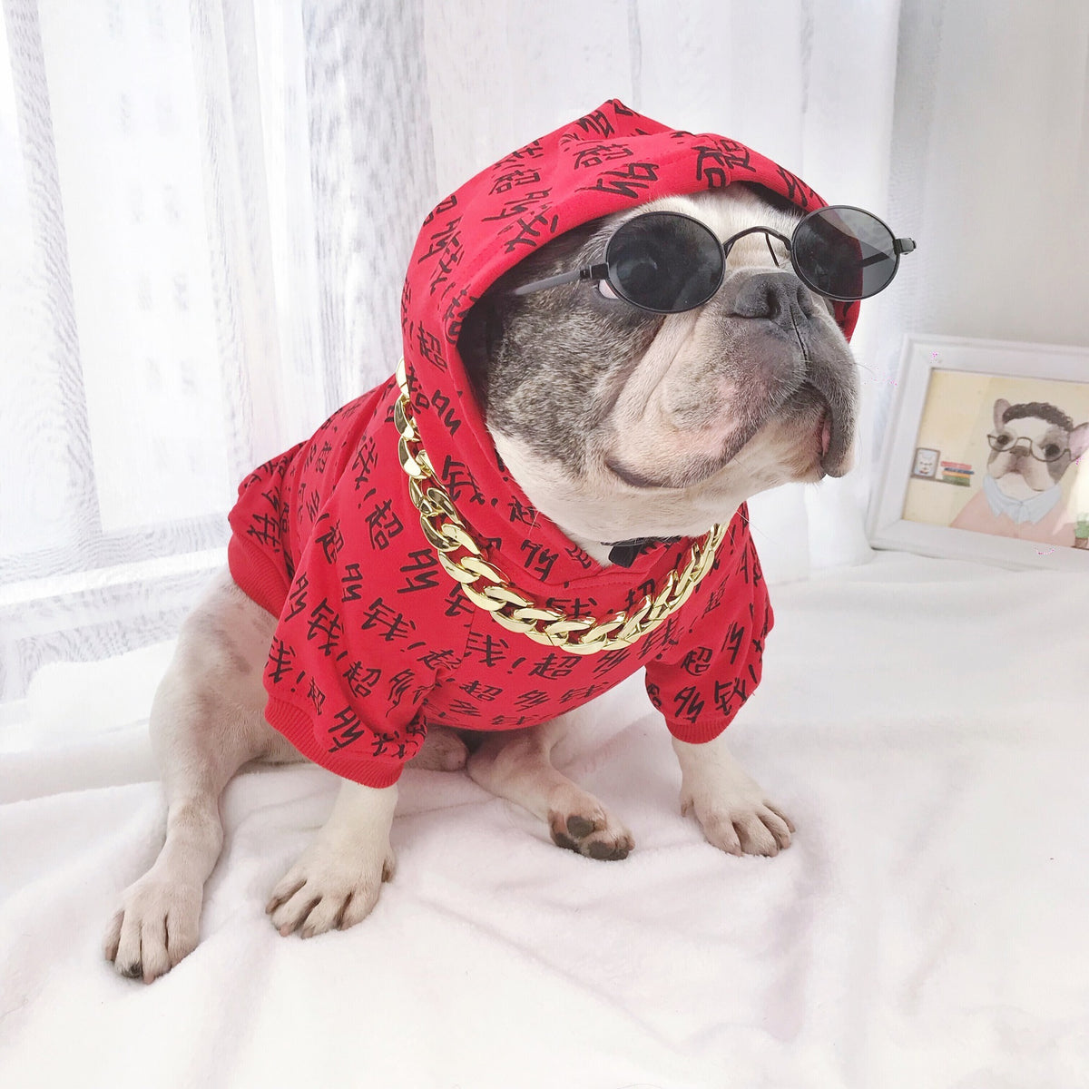 Medium and large dog glasses toy